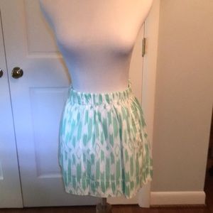 J.Crew Skirt